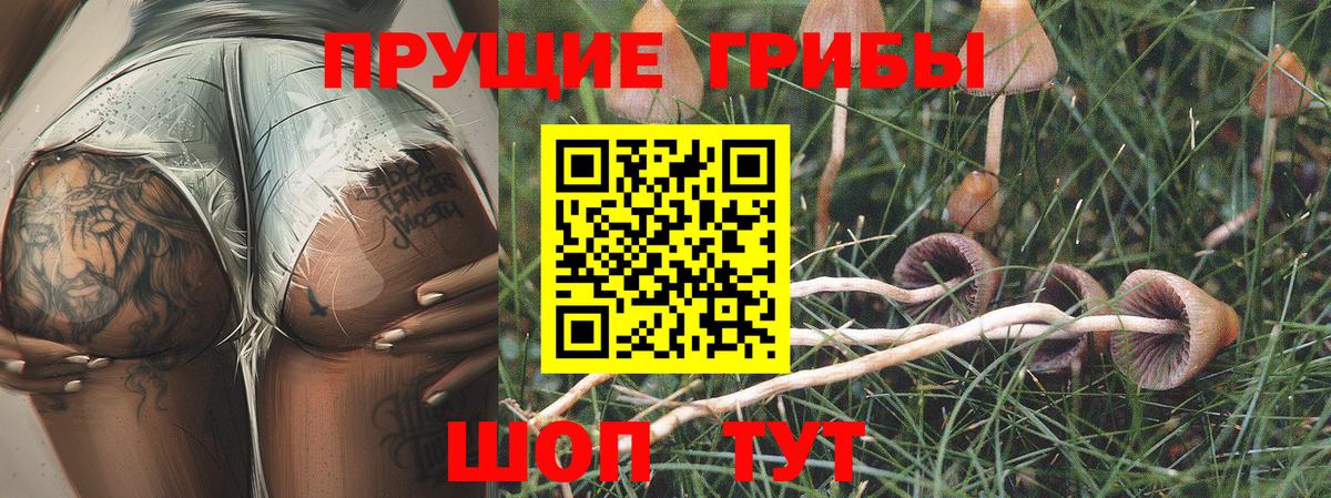 Псилоцибиновые грибы прущие грибы Татарск