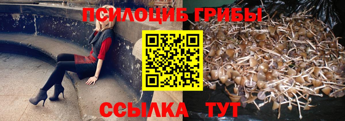 Галлюциногенные грибы мухоморы  Вход с VPN  Татарск 
